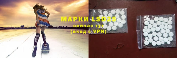 шишки Алзамай
