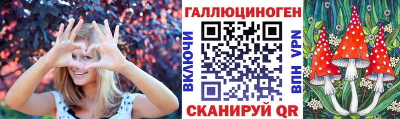где купить наркотик  Щёлкино  Псилоцибиновые грибы мицелий 